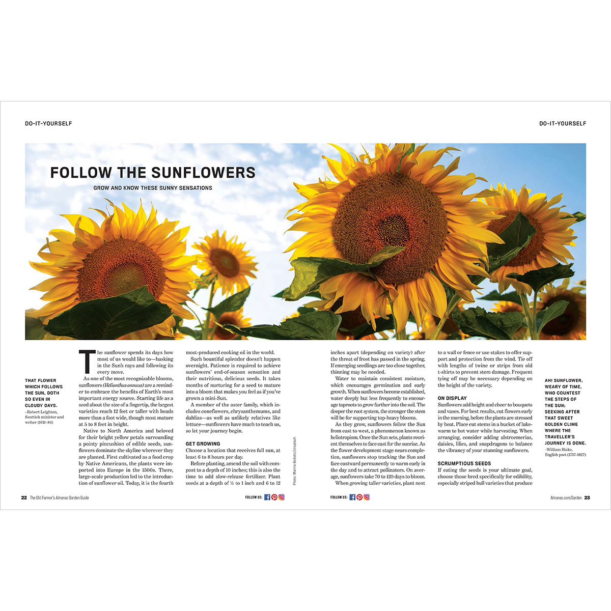 2026 Garden Guide Spread Sunflowers