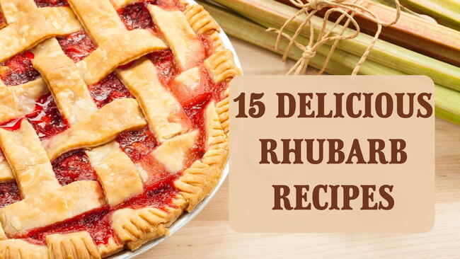 15 Delicious Rhubarb Recipes, with rhubarb lattice pie