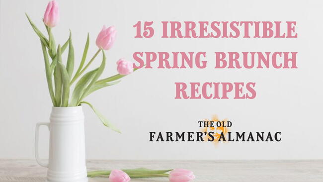 pink tulips in a white vase, 15 spring brunch recipes, the old farmers almanac