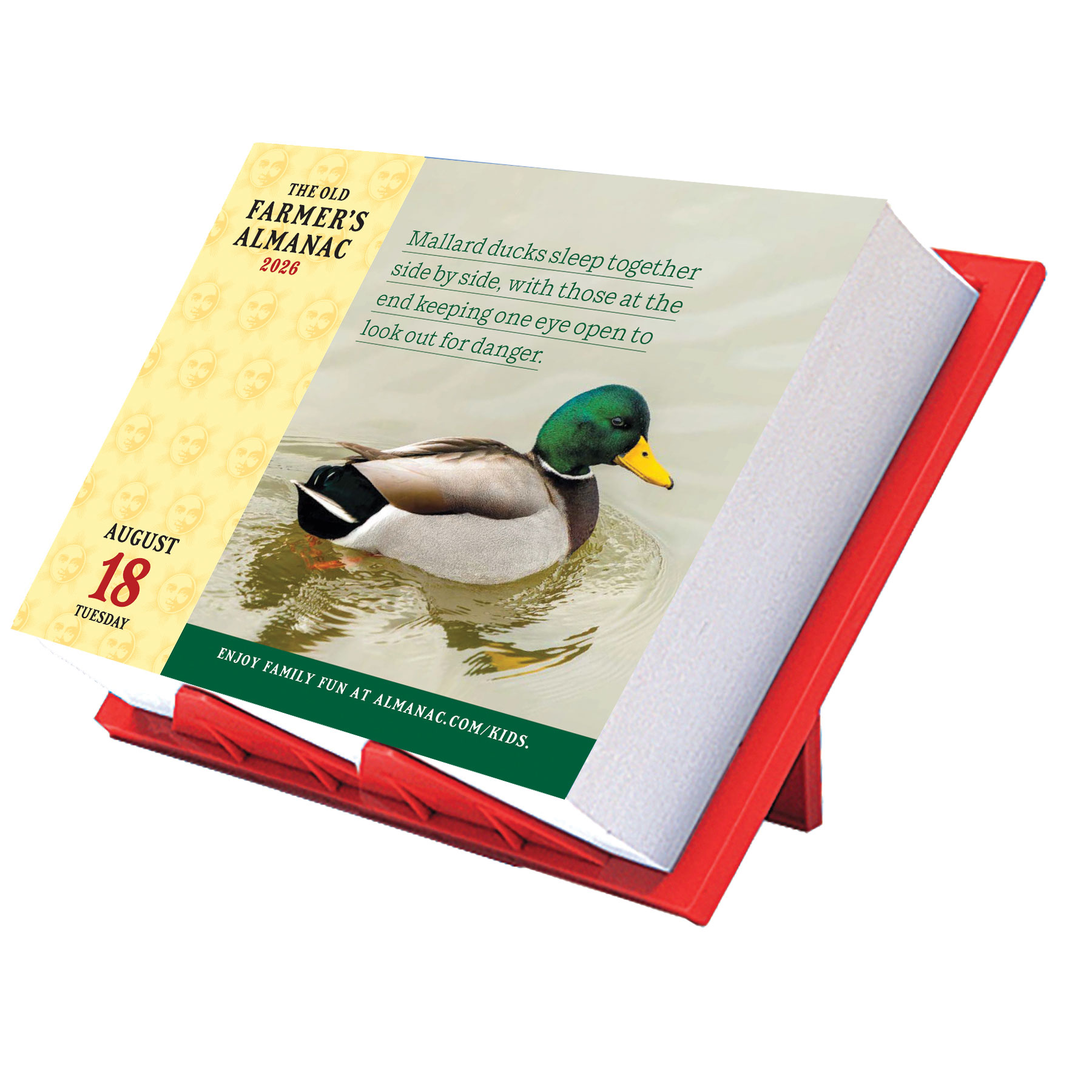 2026 Everyday Calendar Easel