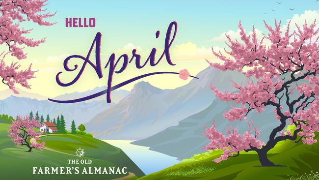 hello april, april flowers