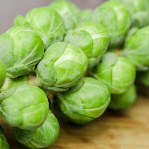 unharvested brussels sprouts on the stalk