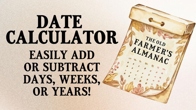 Date Calculator: Subtract/Add Days to Any Date