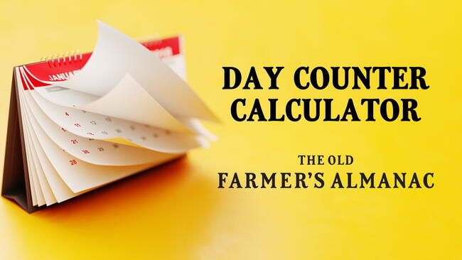 Quickly Count Days Between Dates