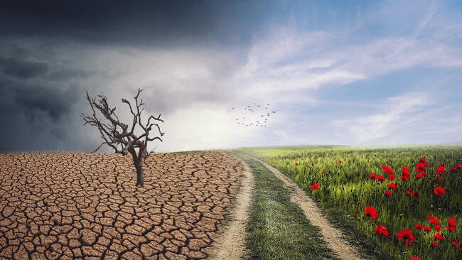 the climate change of el nino dry on one side of the road, lush grass and flowers on the other