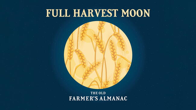 Full Harvest Moon September Full Moon OFA