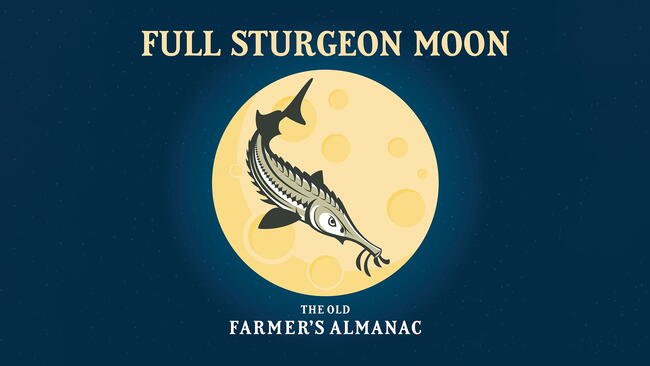 Full Sturgeon Moon OFA with text