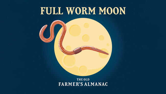 full worm moon, the march full moon, the old farmer's almanac