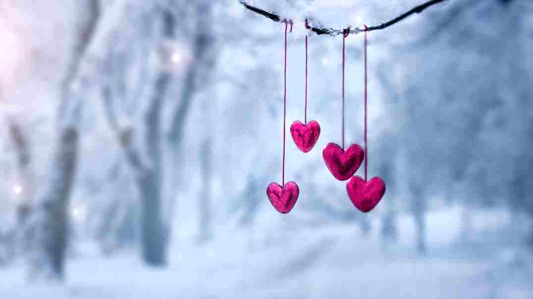 Red hearts on snowy tree branch in winter