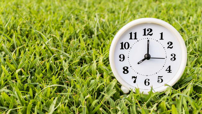 white analog clock sitting in green grass, with the face reading 8:00