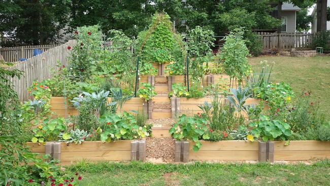 A wooden terraced garden 
