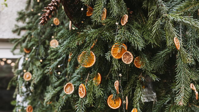 real christmas tree with natural ornaments, pinecones and dried oranges