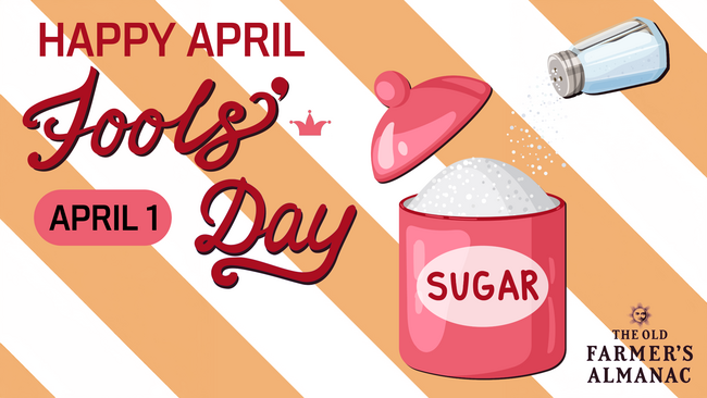 April Fools Day, Salt in the Sugar