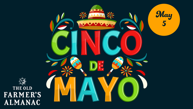 cinco de mayo graphic